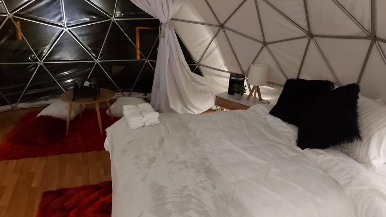 Lodge Mundo Nuevo *