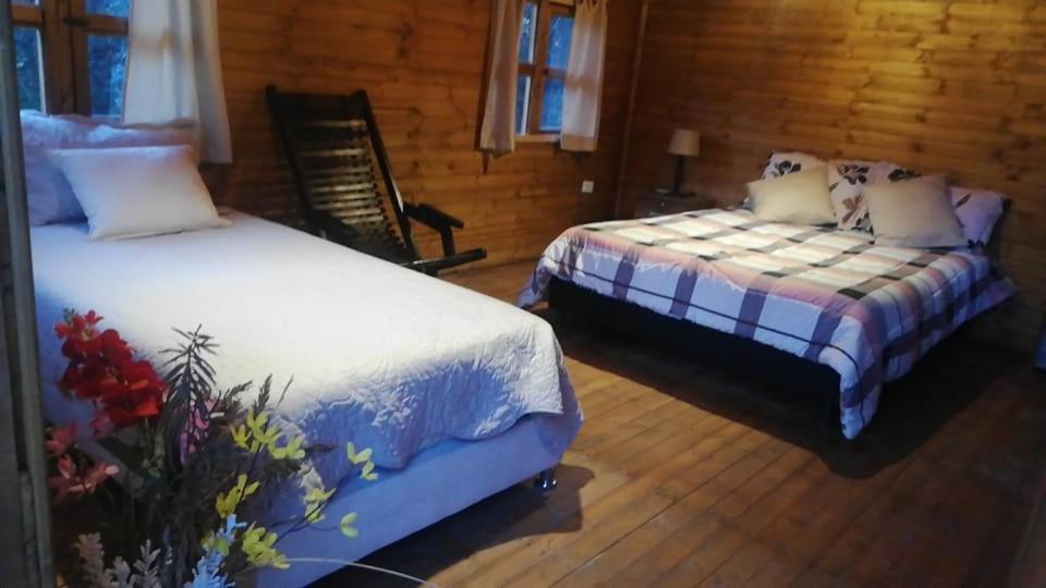Lodge Mundo Nuevo *